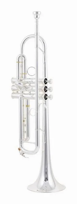 Yamaha YTR-8335RGS 04 Trumpet, vue 2