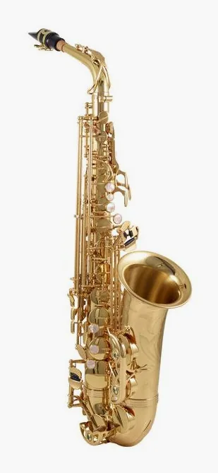 Yanagisawa A-WO1 Alto Sax, vue 3