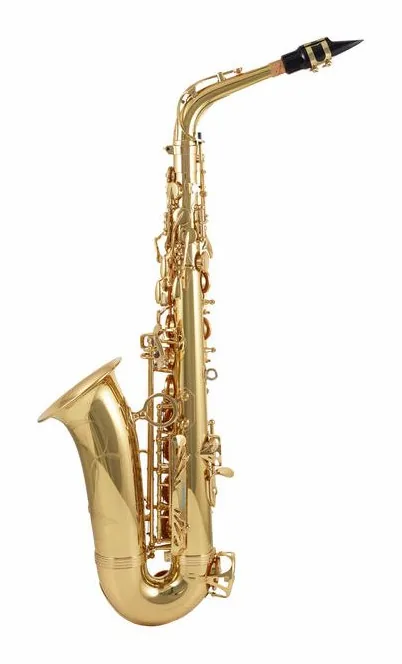 Yanagisawa A-WO1 Alto Sax, vue 4