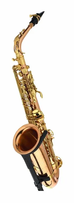 Yanagisawa A-WO2 Alto Sax