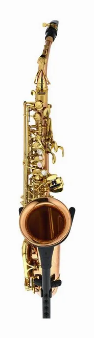 Yanagisawa A-WO2 Alto Sax, vue 2