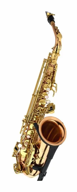 Yanagisawa A-WO2 Alto Sax, vue 3