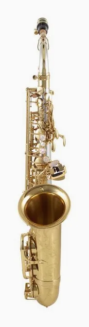Yanagisawa A-WO30 Elite Alto Sax, vue 2