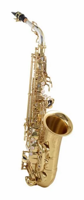 Yanagisawa A-WO30 Elite Alto Sax, vue 3