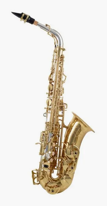 Yanagisawa A-WO30 Elite Alto Sax, vue 4