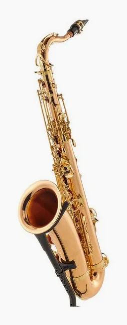 Yanagisawa T-WO2 Tenor Sax