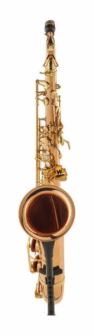 Yanagisawa T-WO2 Tenor Sax, vue 2