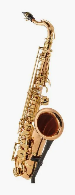 Yanagisawa T-WO2 Tenor Sax, vue 3