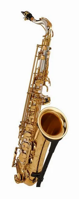 Yanagisawa T-WO30 Elite Tenor Sax, vue 3